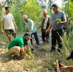 बेलडाँडीमा बेल खेती अभियान : पहिलो चरणको आयव्यय सार्वजनिक; दोस्रो चरण सुरु