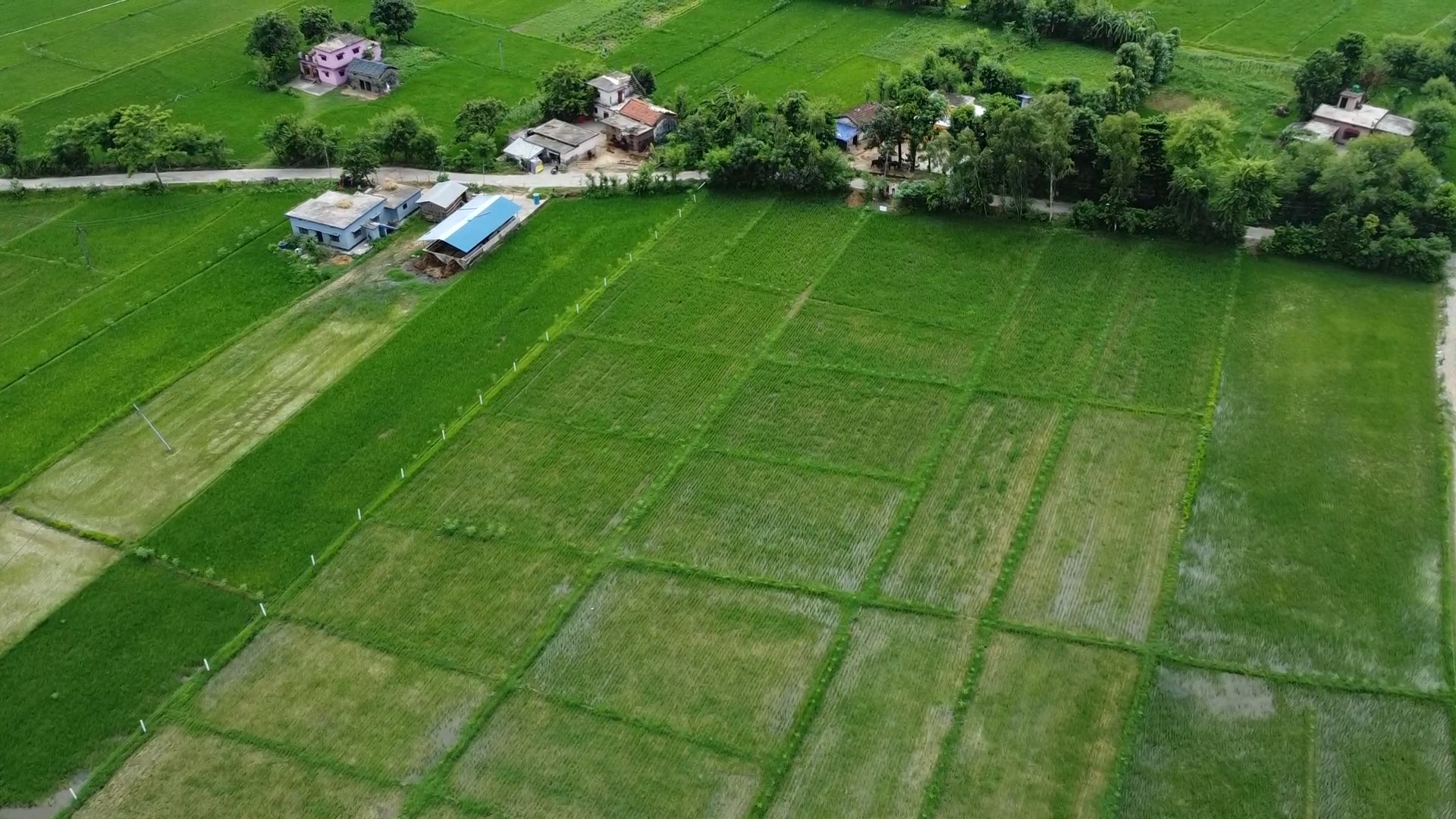 किसानहरूलाई सधैँ पिरलो‍‍...